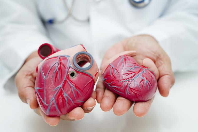 Herzchirurgie