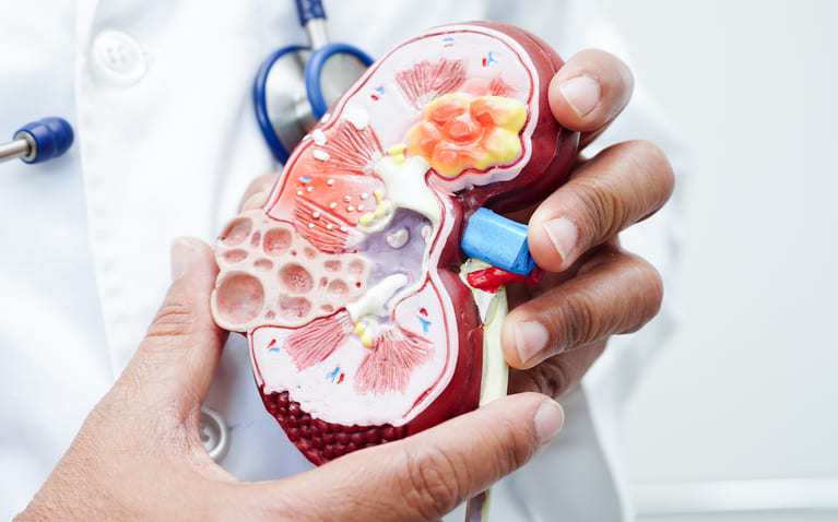 Urologie