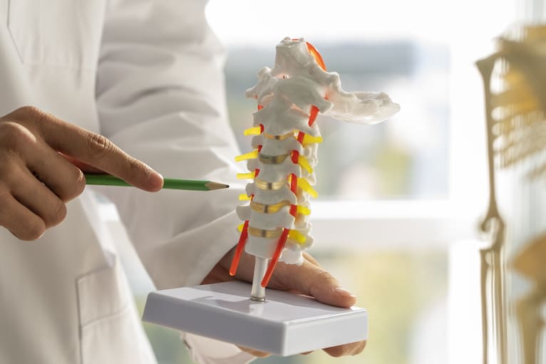 Wirbelsäulenchirurgie